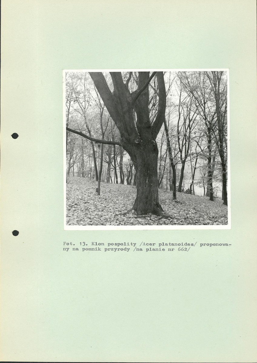 Ewidencja parkowa, skan nr 59
