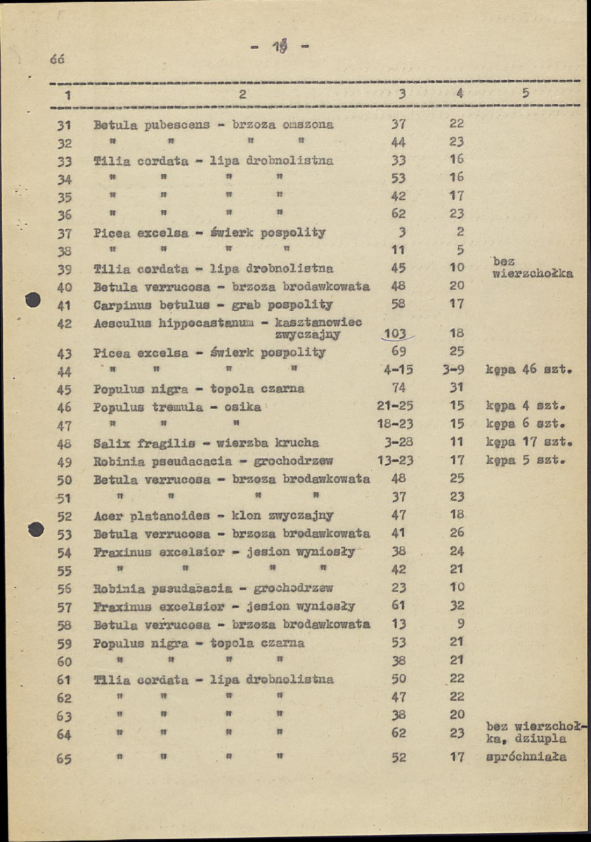 EP - Ewidencja parkowa, skan nr 17