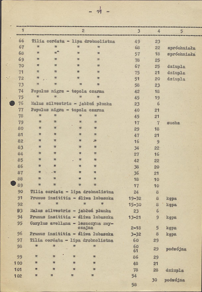 EP - Ewidencja parkowa, skan nr 18