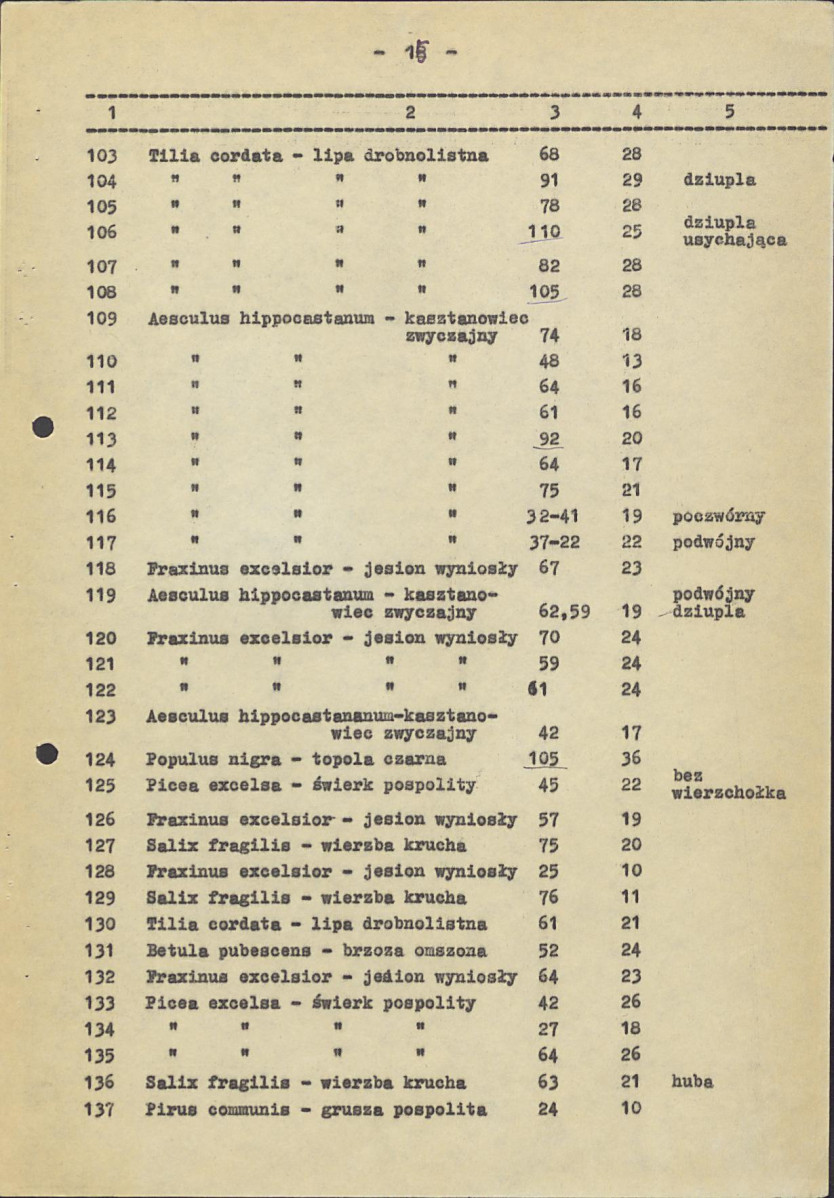 EP - Ewidencja parkowa, skan nr 19