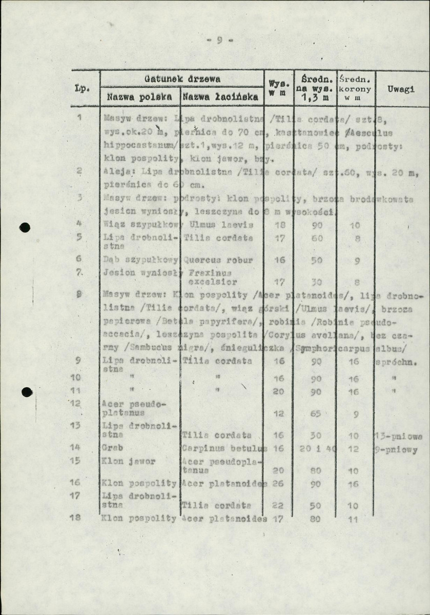 Ewidencja parkowa, skan nr 13