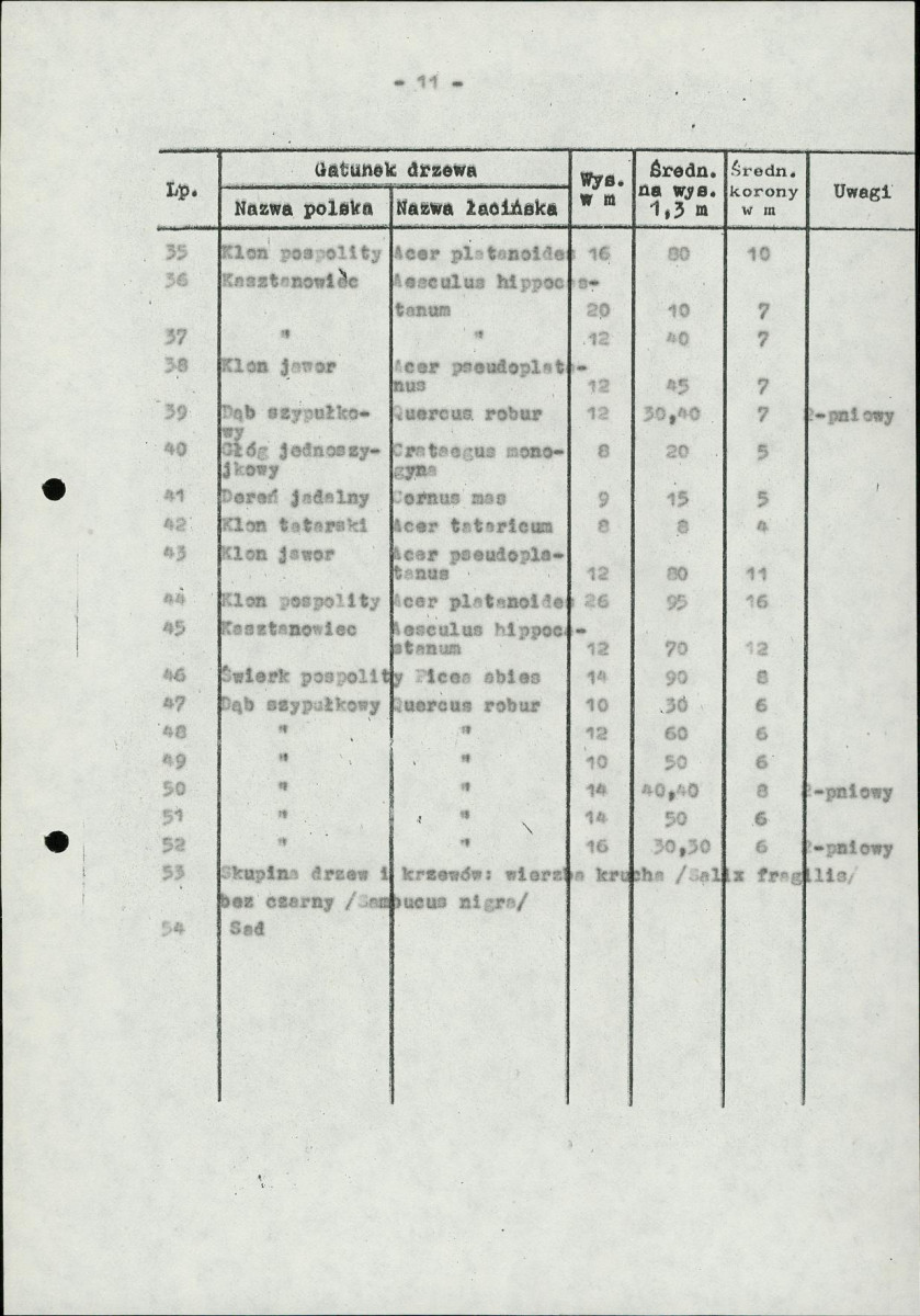 Ewidencja parkowa, skan nr 15