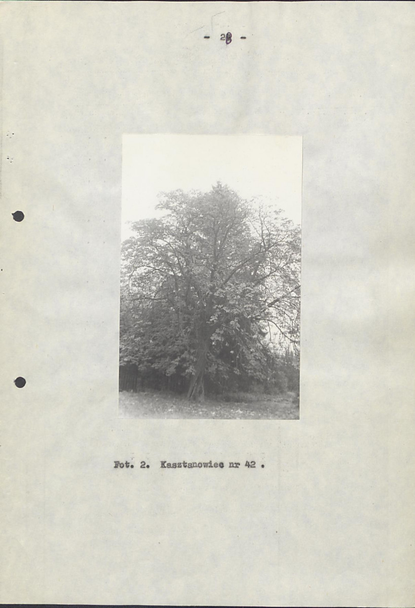 EP - Ewidencja parkowa, skan nr 33