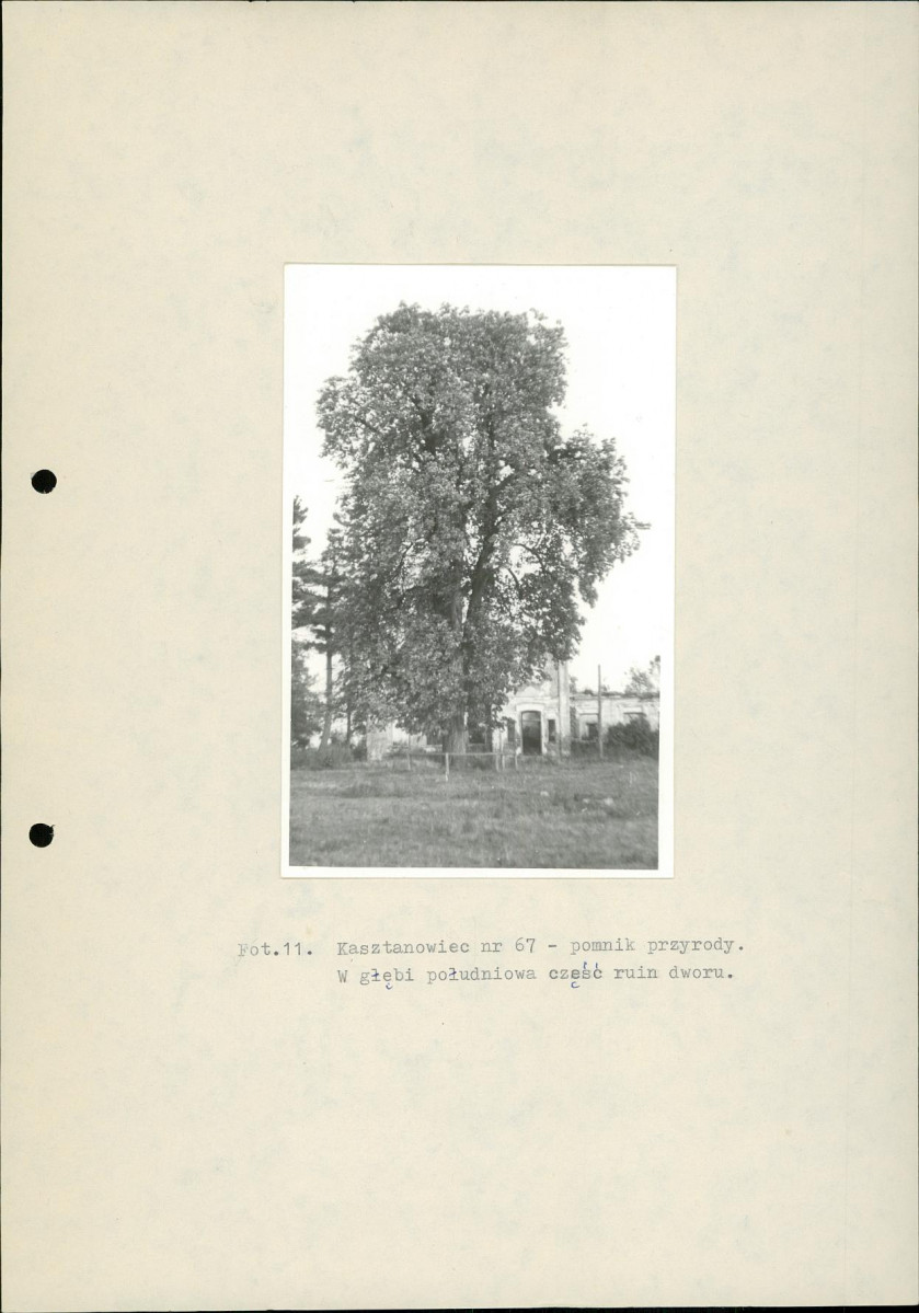 EP - Ewidencja parkowa, skan nr 28