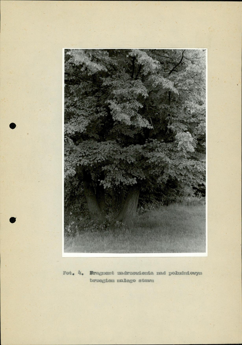 Ewidencja parkowa, skan nr 30