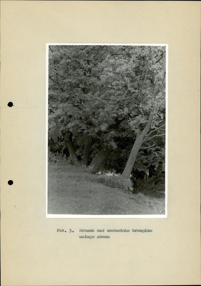 Ewidencja parkowa, skan nr 31