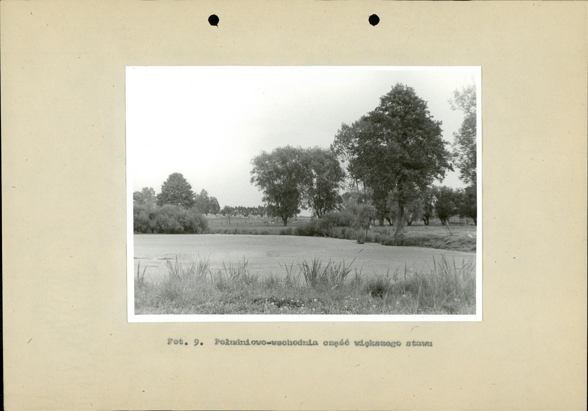 Ewidencja parkowa, skan nr 35