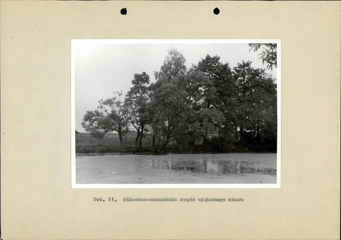 Ewidencja parkowa, skan nr 37