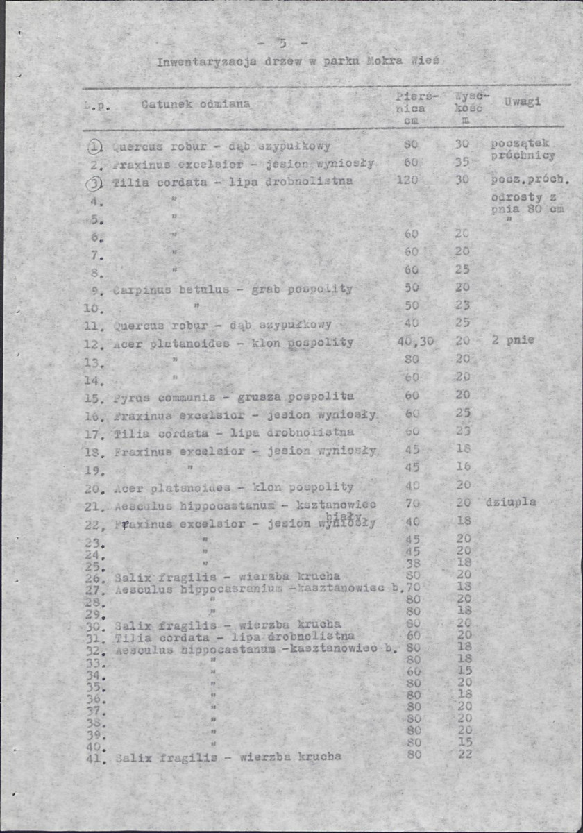 Ewidencja parkowa, skan nr 10