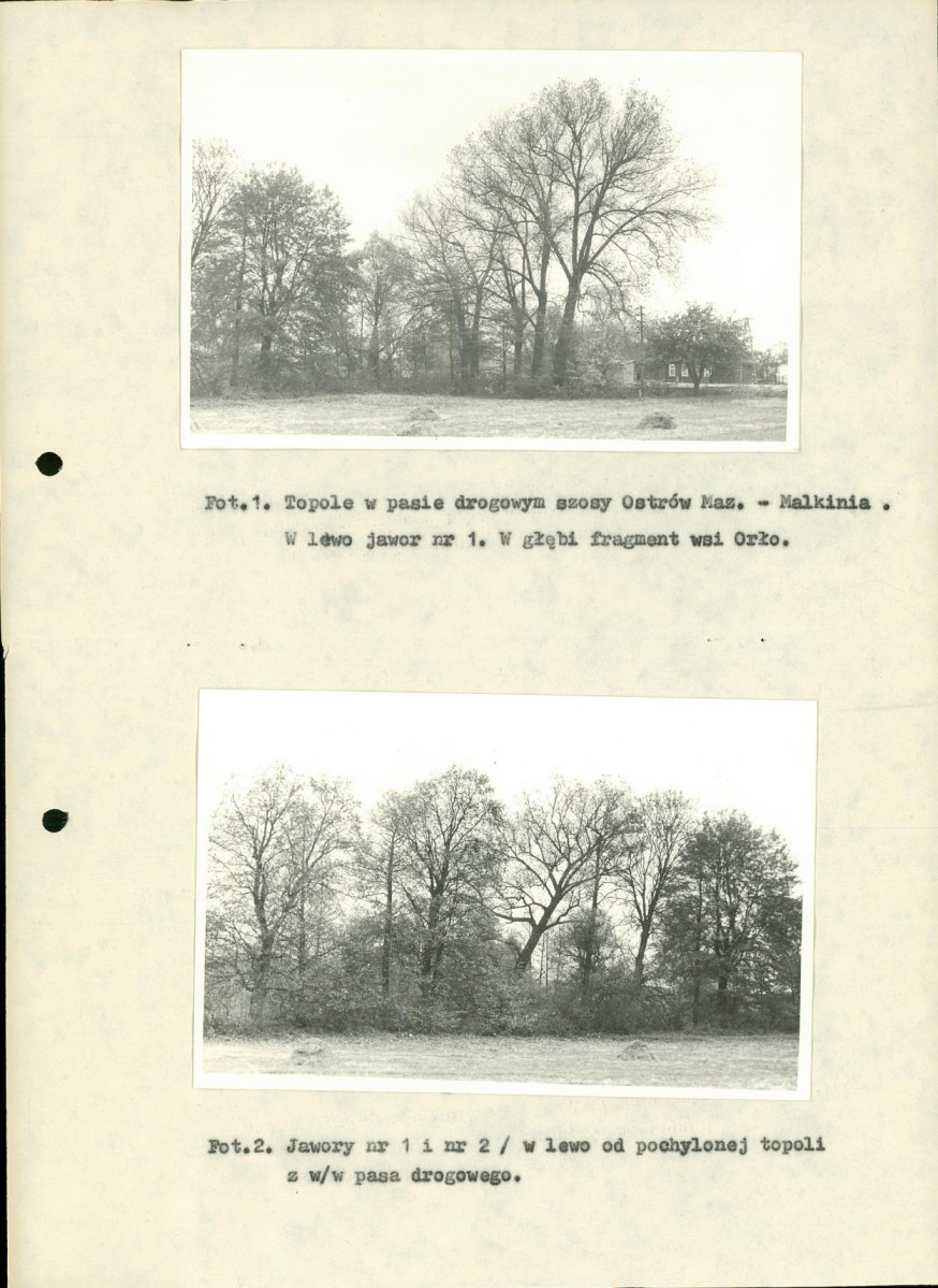 EP - Ewidencja parkowa, skan nr 25