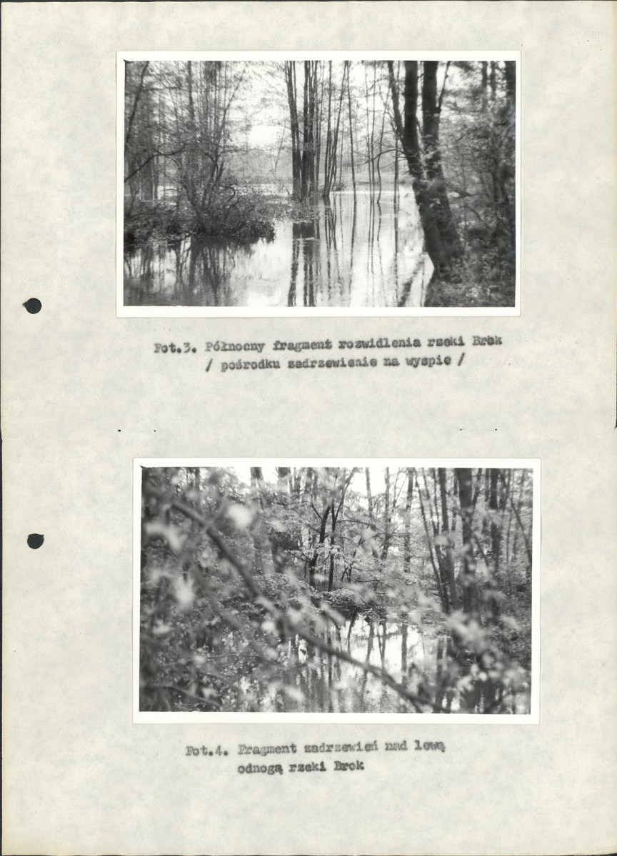 EP - Ewidencja parkowa, skan nr 26