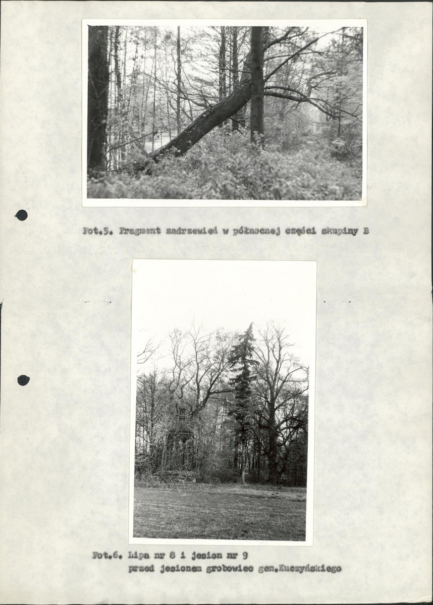 EP - Ewidencja parkowa, skan nr 27