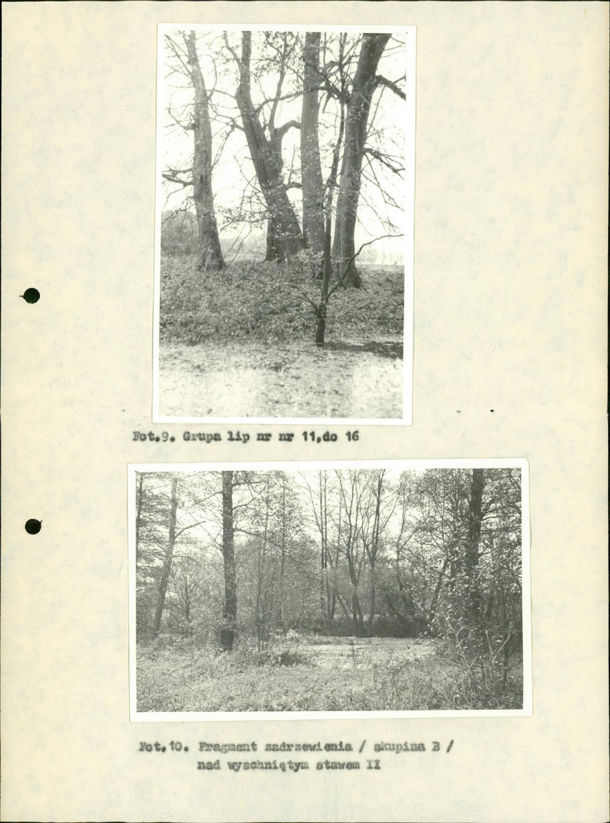 EP - Ewidencja parkowa, skan nr 29