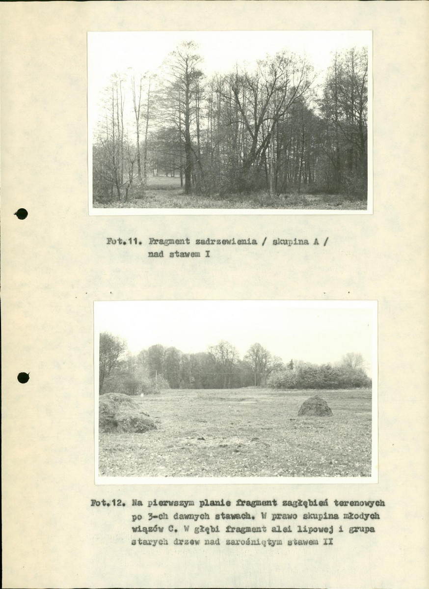 EP - Ewidencja parkowa, skan nr 30