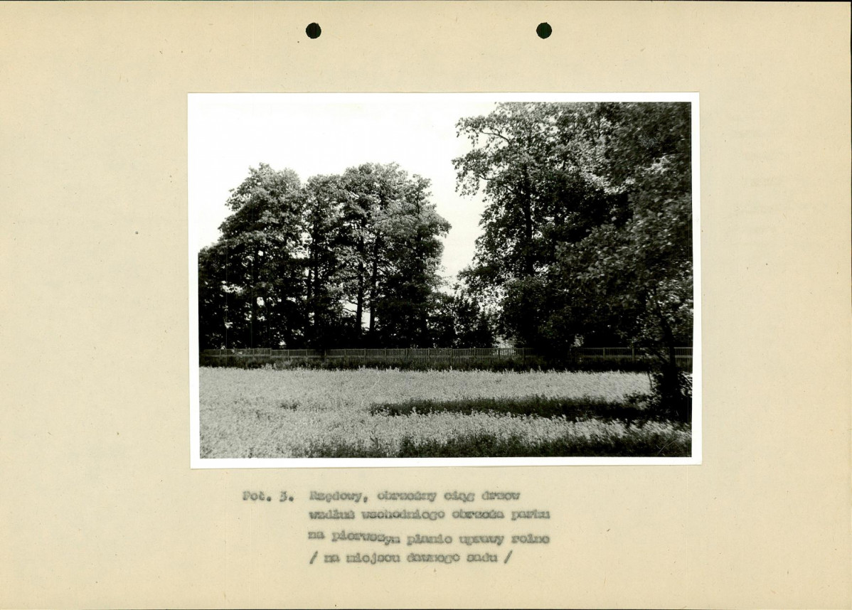 Ewidencja parkowa, skan nr 32