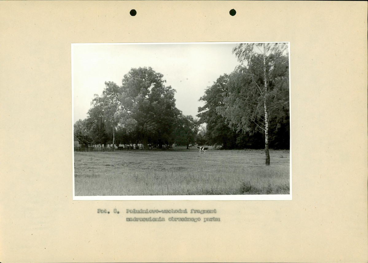 Ewidencja parkowa, skan nr 35