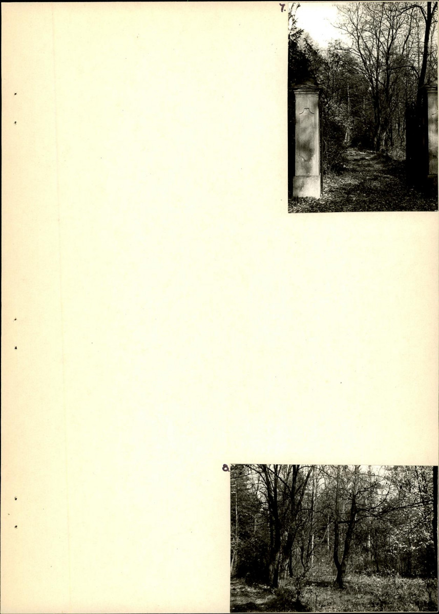 Ewidencja parkowa, skan nr 22