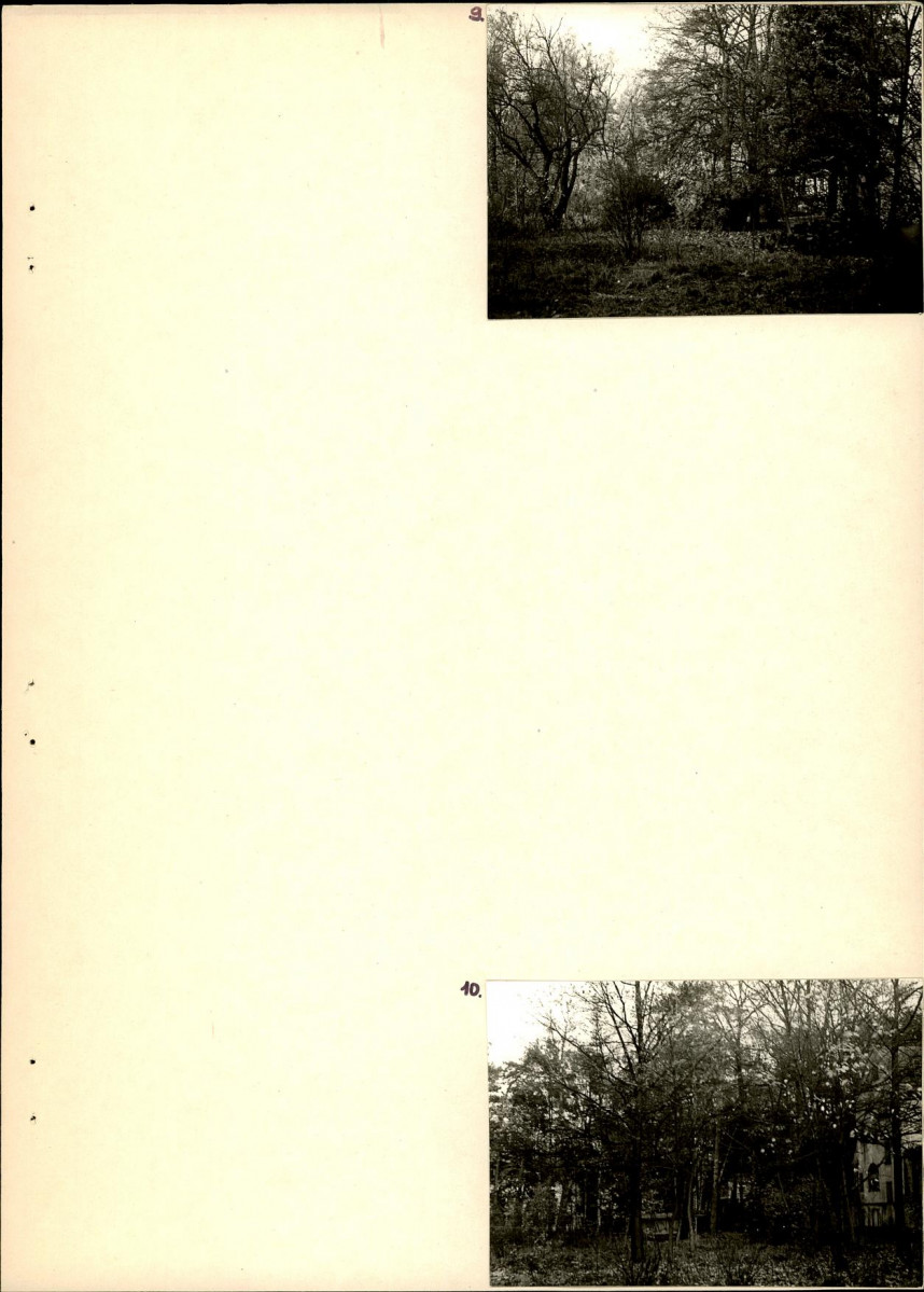 Ewidencja parkowa, skan nr 23