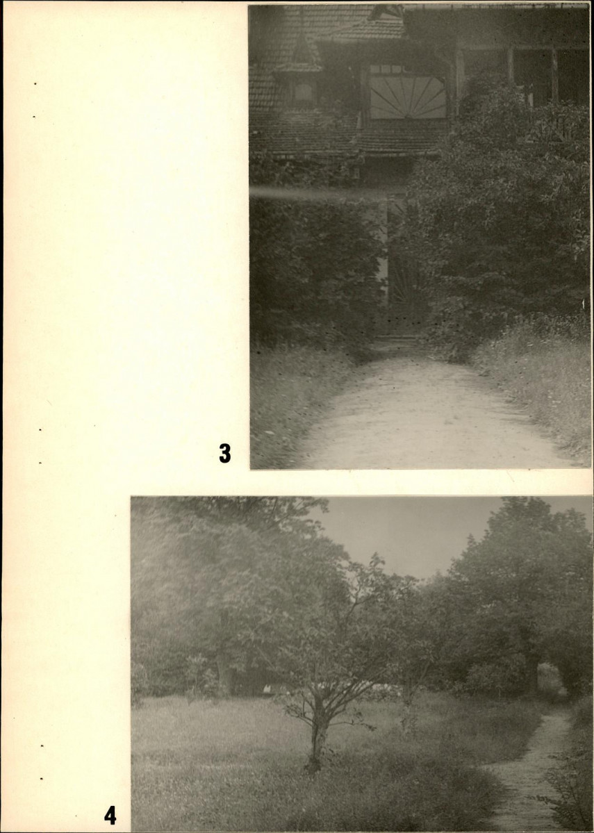 Ewidencja parkowa, skan nr 18