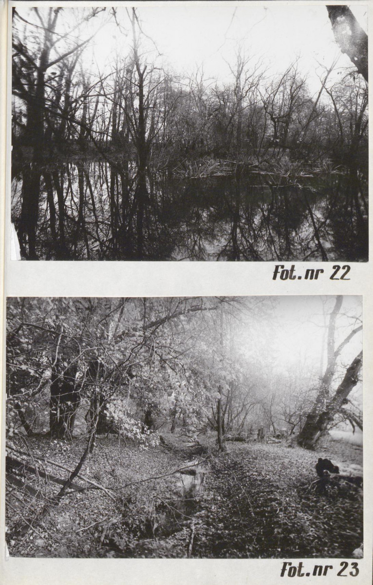 Ewidencja parkowa, skan nr 37