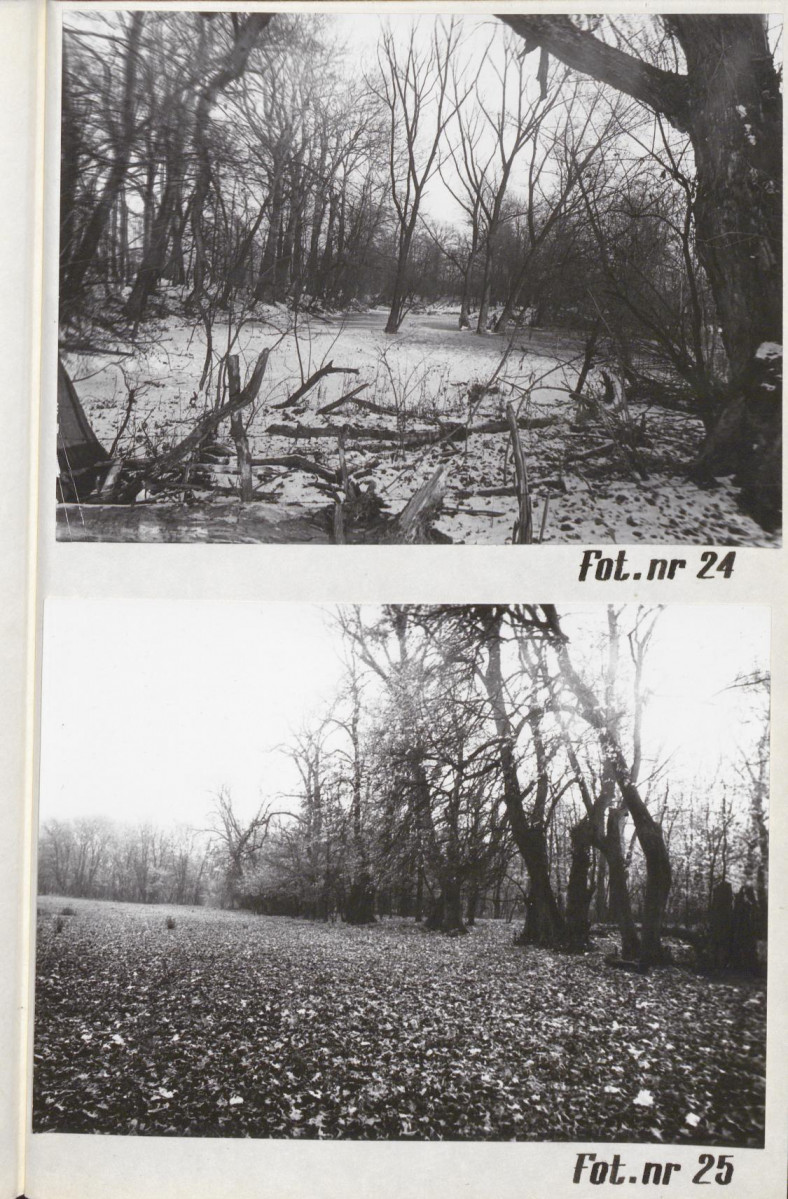 Ewidencja parkowa, skan nr 38