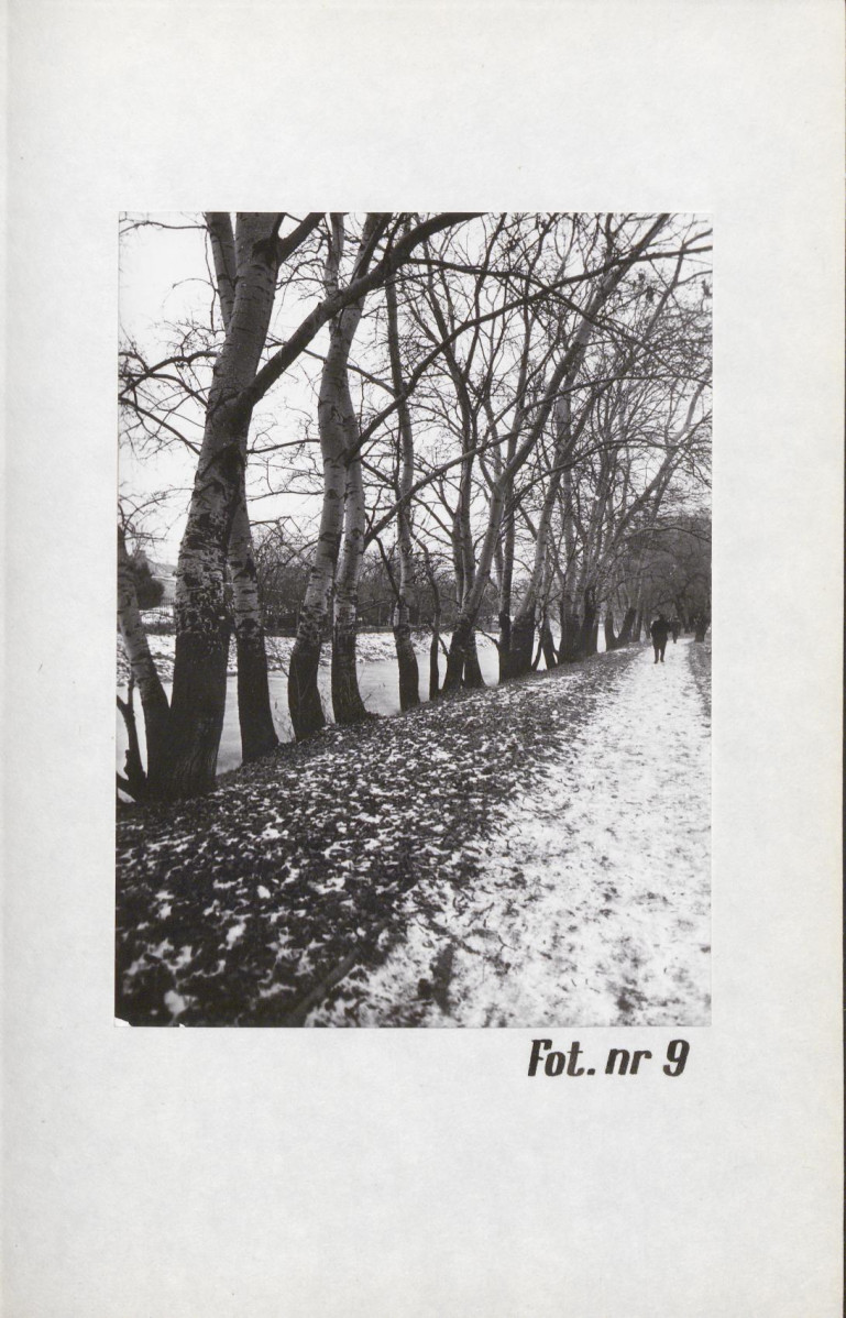 Ewidencja parkowa, skan nr 28
