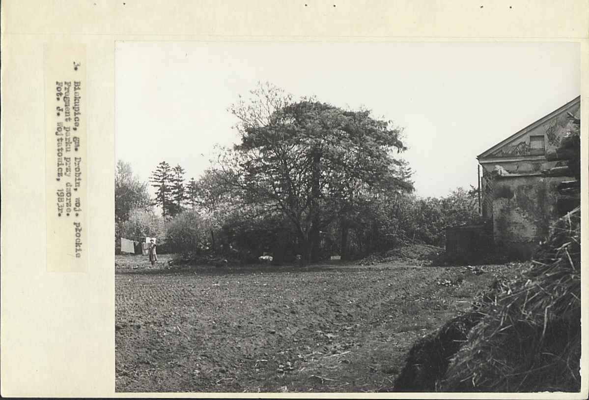 Ewidencja parkowa, skan nr 19
