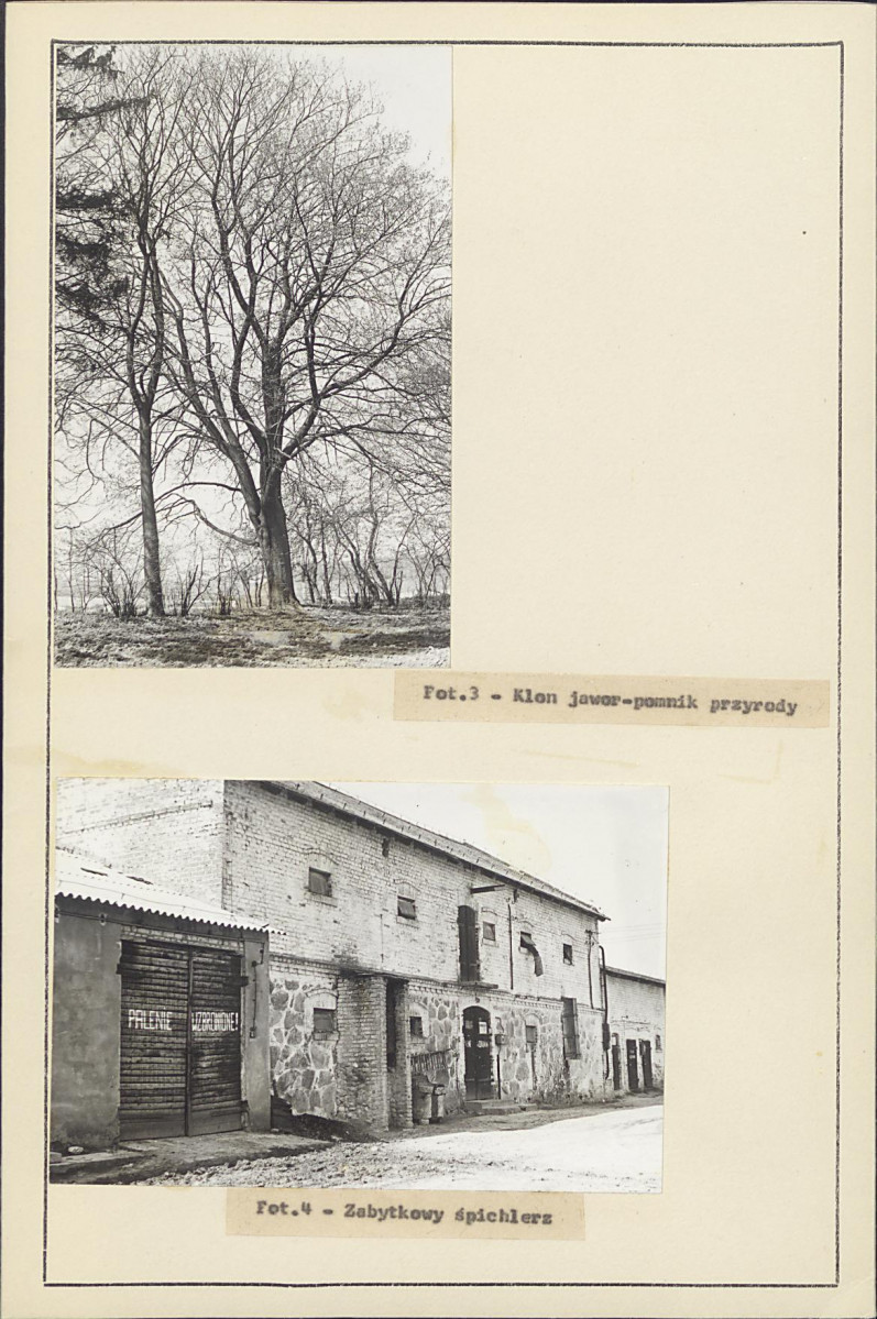 Ewidencja parkowa, skan nr 14