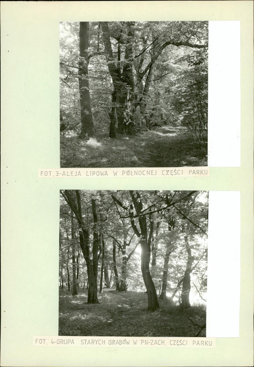 Ewidencja parkowa, skan nr 23
