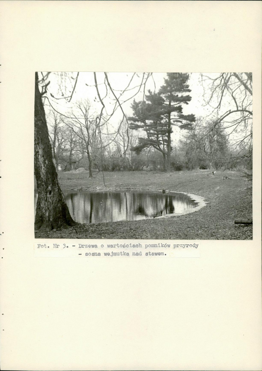 Ewidencja parkowa, skan nr 21