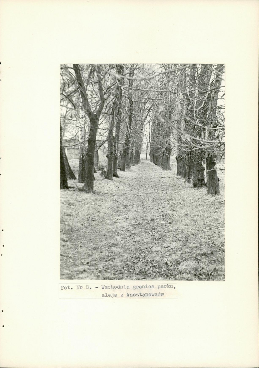 Ewidencja parkowa, skan nr 26