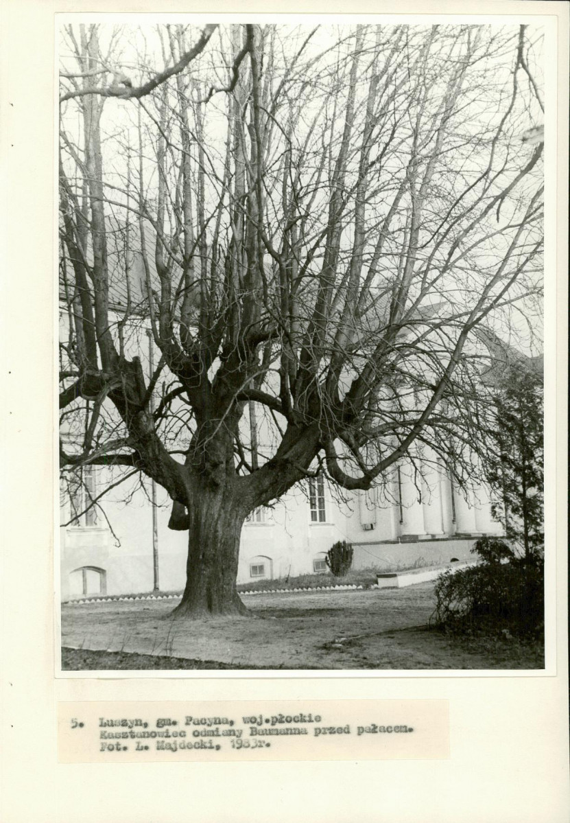 Ewidencja parkowa, skan nr 27