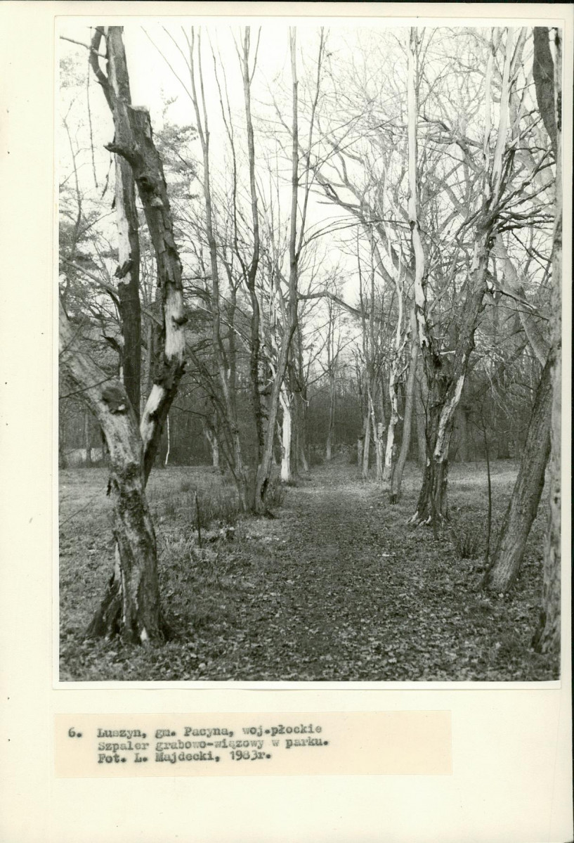 Ewidencja parkowa, skan nr 28