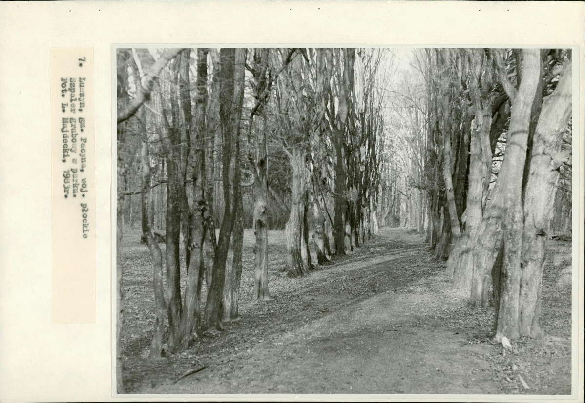 Ewidencja parkowa, skan nr 29