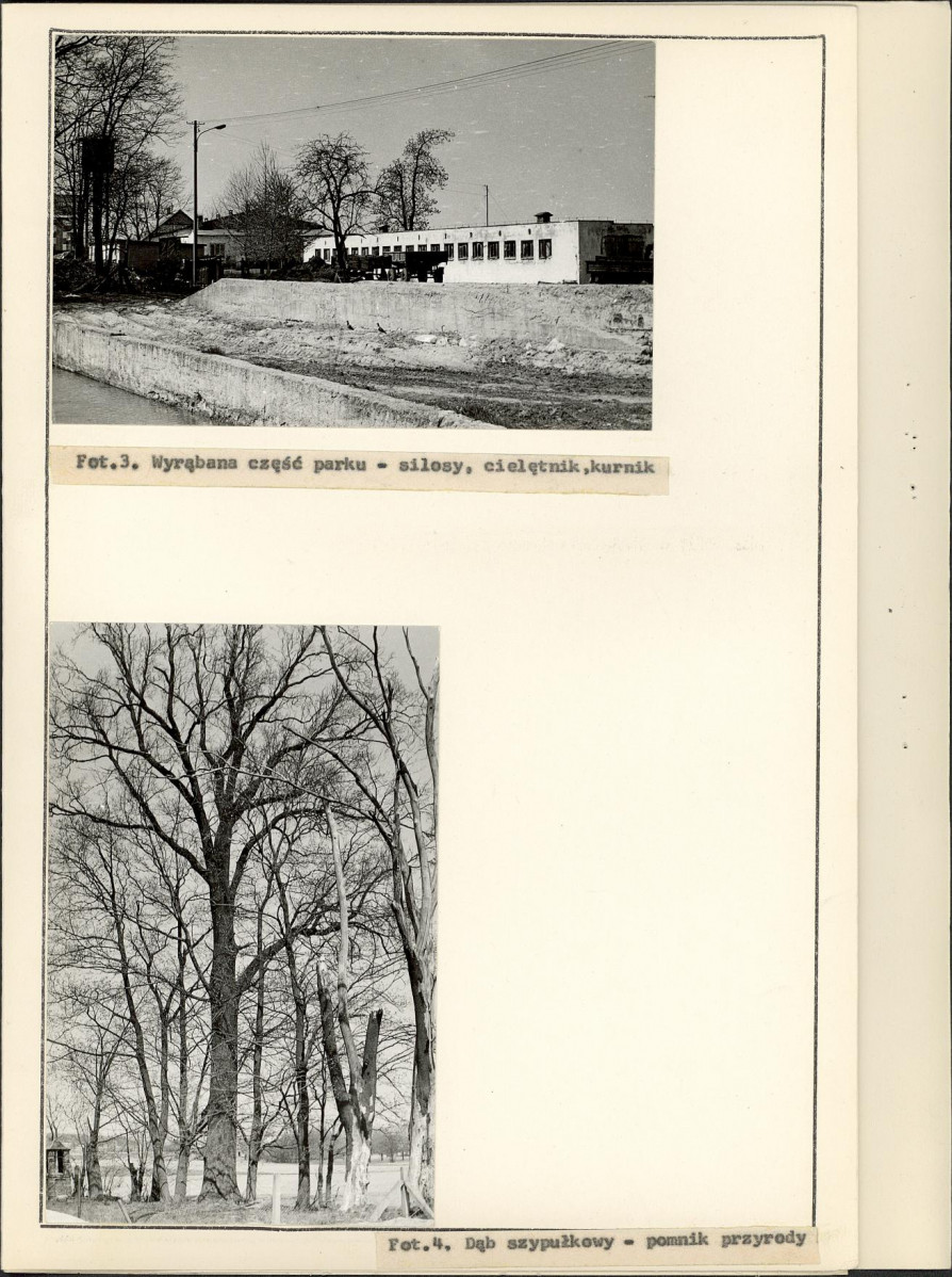 Ewidencja parkowa, skan nr 15