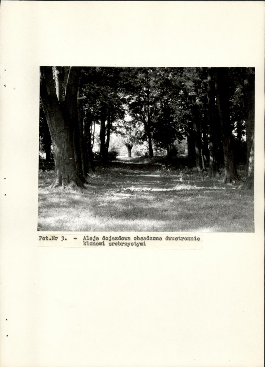 Ewidencja parkowa, skan nr 21