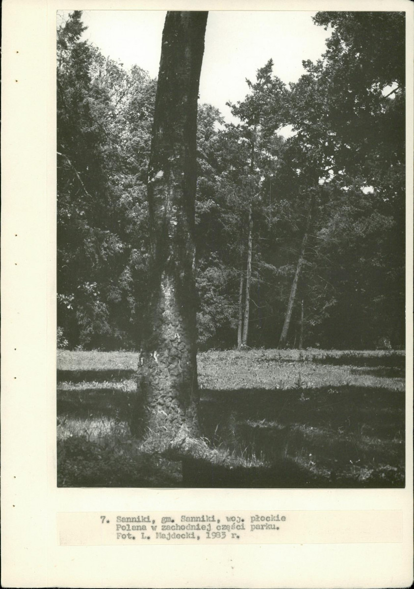Ewidencja parkowa, skan nr 32
