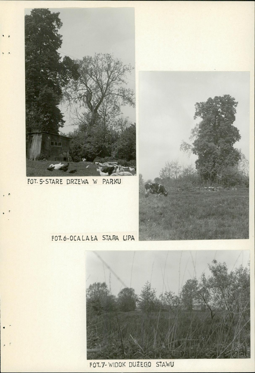Ewidencja parkowa, skan nr 16