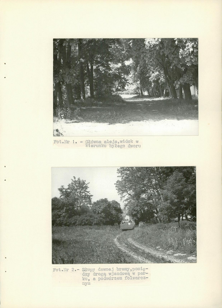 Ewidencja parkowa, skan nr 19