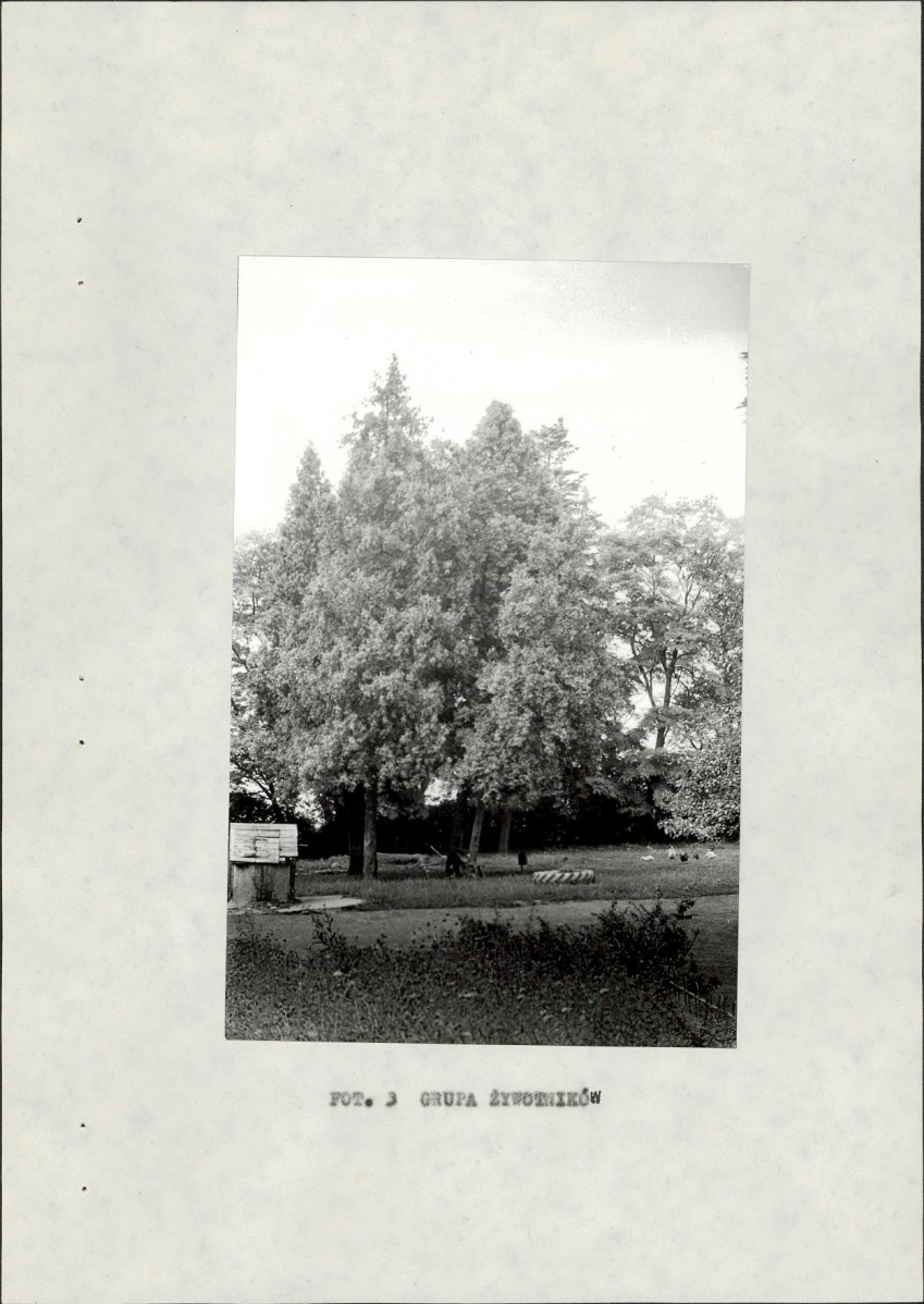 Ewidencja parkowa, skan nr 19