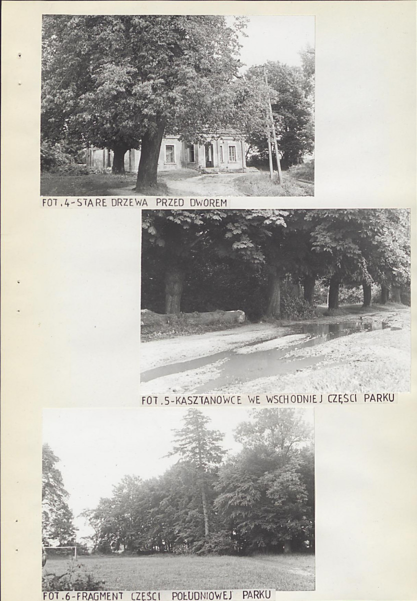 Ewidencja parkowa, skan nr 20