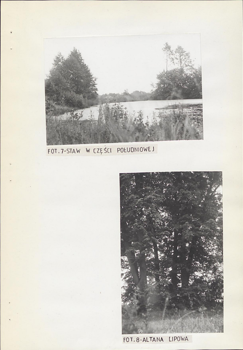 Ewidencja parkowa, skan nr 21