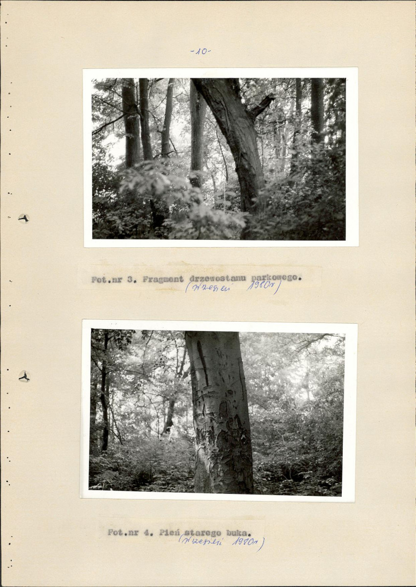 Ewidencja parkowa, skan nr 18