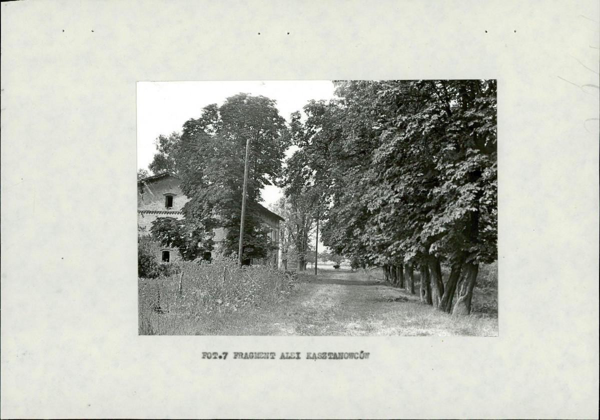Ewidencja parkowa, skan nr 23