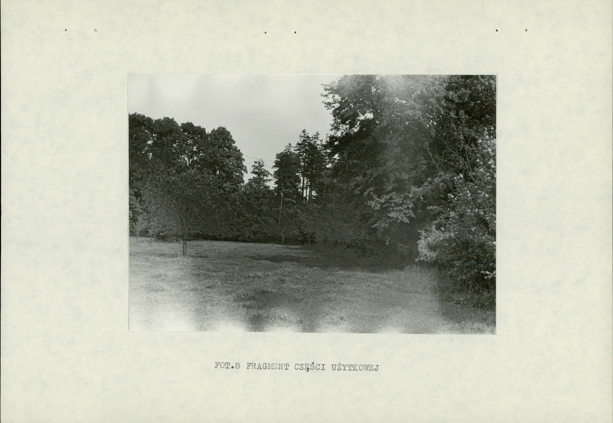 Ewidencja parkowa, skan nr 24