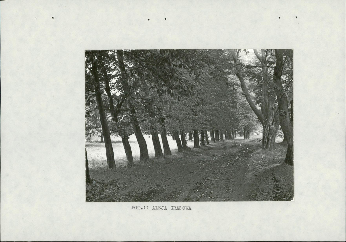 Ewidencja parkowa, skan nr 27