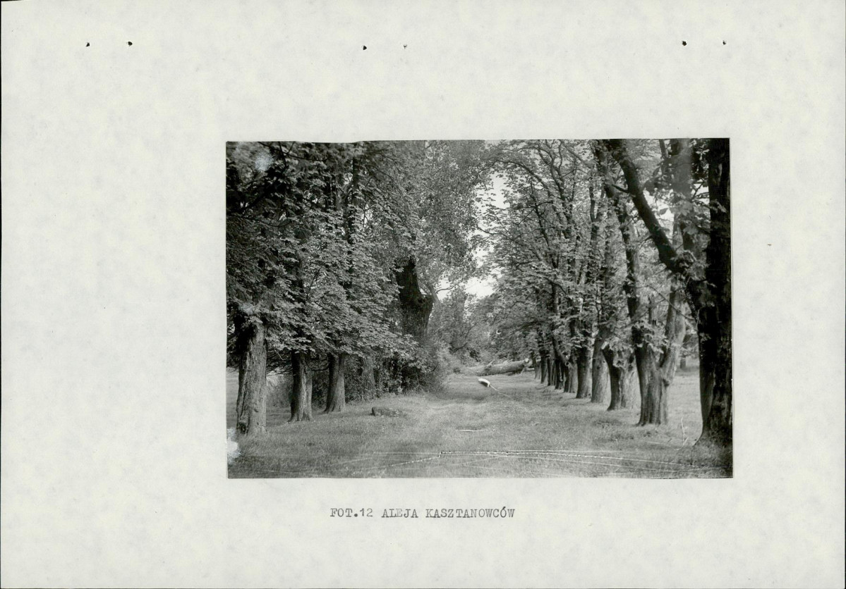 Ewidencja parkowa, skan nr 28