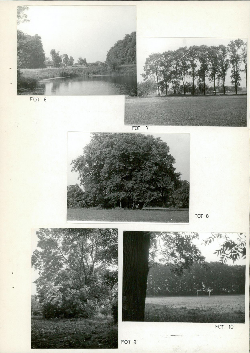 Ewidencja parkowa, skan nr 16