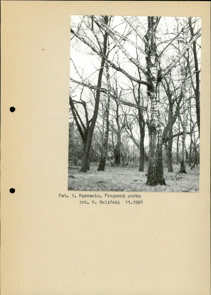 Ewidencja parkowa, skan nr 13
