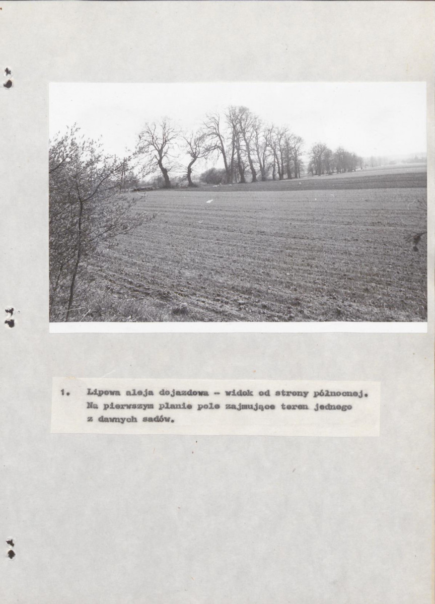 Ewidencja parkowa, skan nr 32